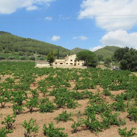 Casa Rural Cal Marti El Pla de Manlleu Buitenkant foto