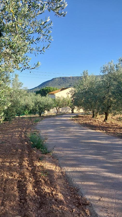 Casa Rural Cal Marti El Pla de Manlleu Buitenkant foto