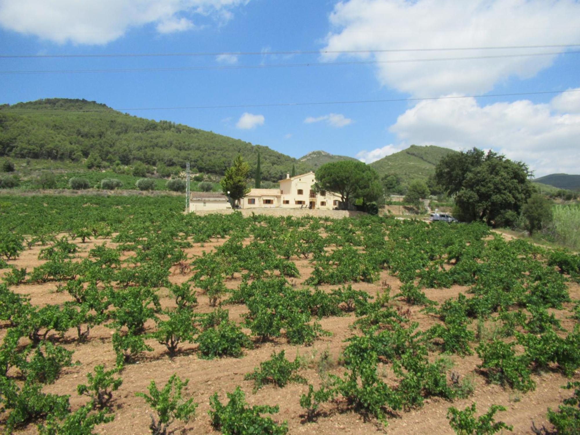 Casa Rural Cal Marti El Pla de Manlleu Buitenkant foto